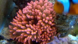 2011-04-03_21-43-34_58.jpg