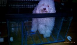 IMAG0292.jpg