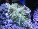 IMG_0262.jpg