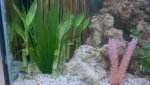 2011-05-17_21-05-35_449.jpg