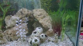 2011-05-17_21-05-49_634.jpg