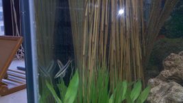 2011-05-18_15-56-53_101.jpg