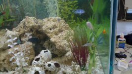 2011-05-18_15-57-10_405.jpg