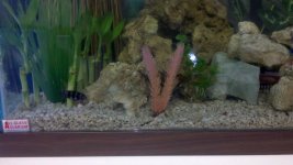 2011-05-20_19-11-36_588.jpg