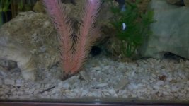 2011-05-20_19-11-58_94.jpg