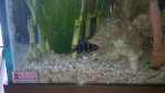 2011-05-20_19-12-14_313.jpg