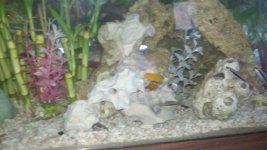 2011-05-20_19-12-58_915.jpg