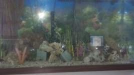 2011-05-20_19-13-06_401.jpg
