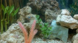 2011-05-20_19-29-54_613.jpg