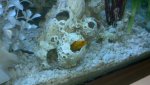 2011-05-20_19-30-25_802.jpg