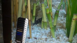 2011-05-20_19-30-49_122.jpg