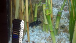 2011-05-20_19-31-14_397.jpg