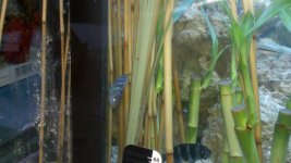 2011-05-20_19-31-22_269.jpg