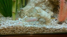 2011-05-20_19-31-41_929.jpg