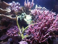 IMG00059-20110523-1938.jpg