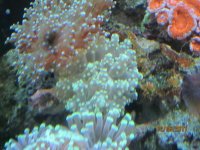 IMG_0335.jpg