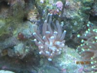 IMG_0336.jpg