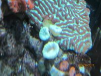 IMG_0337.jpg