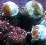 2011-04-07 20.19.50.jpg