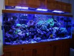 150 GAL TANK.jpg
