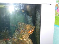 DSCF5073.jpg