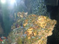 DSCF5074.jpg