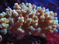 IMG_0110.jpg