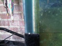 IMG00418-20110529-1310.jpg