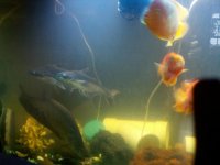 2011-08-02_16-55-07_285.jpg
