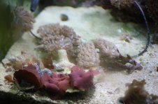 IMG_9044.jpg