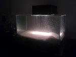 IMG_20110410_001245.jpg