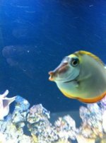 ImageUploadedByTapatalk1318630630.744802.jpg