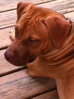 Iphone 4 pix 224.jpg