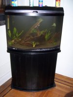 day 4 tank pix 001.jpg