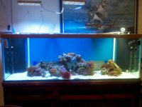 2011-08-04_23-00-57_902.jpg