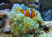 IMG_3917.JPG