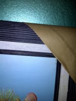 IMG-20110211-00509.jpg