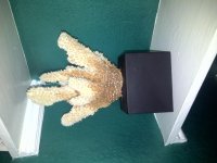 IMG-20110529-00068.jpg