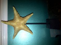 IMG-20110529-00071.jpg
