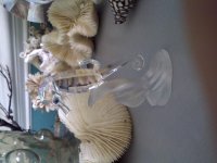 IMG-20110530-00091.jpg