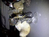 IMG-20110530-00088.jpg