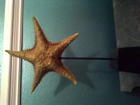 IMG-20110529-00072.jpg
