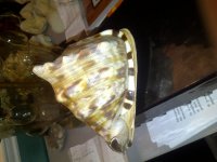 IMG-20110529-00076.jpg