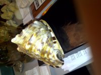 IMG-20110529-00077.jpg