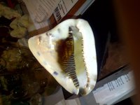 IMG-20110529-00078.jpg