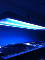 photo (6).jpg
