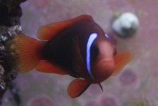 IMG_2515.JPG