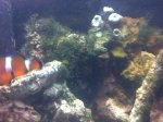 IMG-20111019-00342.jpg