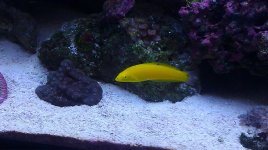 IMAG0671.jpg
