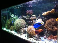 IMG_1618.jpg